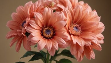 Is Ramo Buchon the Flower Everyone's Talking About