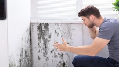 How to Effectively Manage Mold Remediation in Your Home